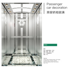 Quality Mr Passenger Elevator with Ce